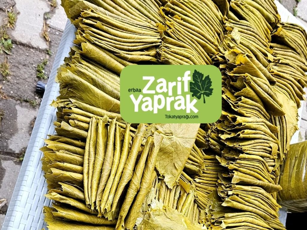 Geleneksel Yemek Mirasının Eşsiz Tokat yaprağı Hakkında Her Edilenler