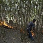 Yangın riski nedeniyle 39 ilde ormanlara giriş yasaklandı.