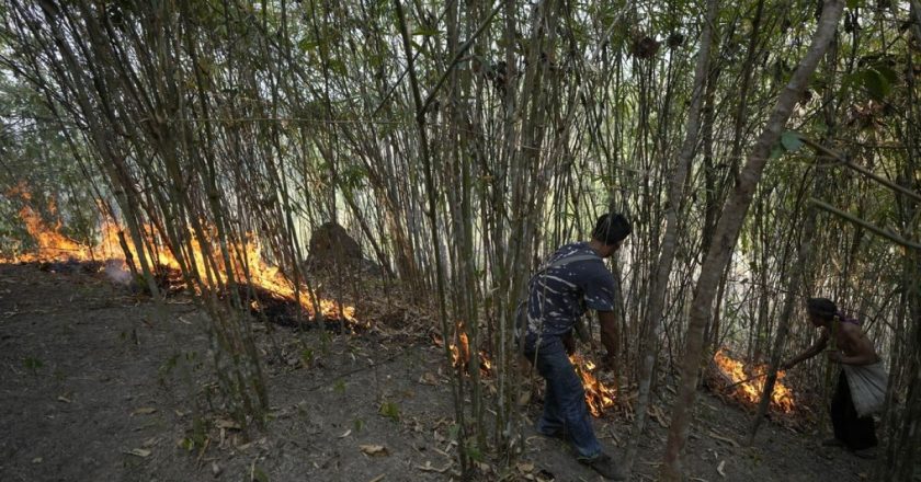 Yangın riski nedeniyle 39 ilde ormanlara giriş yasaklandı.