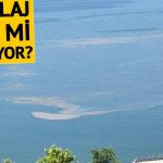 Marmara Denizi'nde endişelendiren görüntü!  Müsilaj modaya geri mi dönüyor?