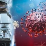 Coronavirüs sonrası yeni hastalık uyarısı!  26 ülkede görüldü, M çiçek hastalığı virüsü vakalarında artış var