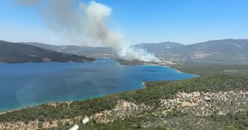 Milas'ta orman yangını – Son dakika haberleri