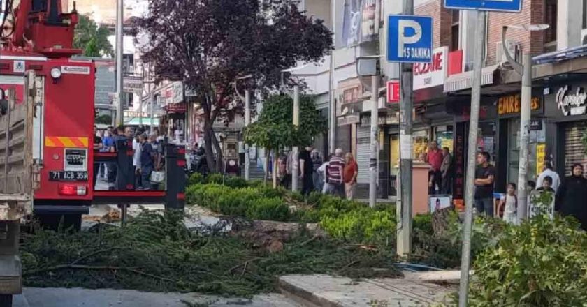 Kırıkkale'de park halindeki aracın üzerine ağaç devrildi