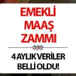 EMEKLİLERİN MAAŞ ARTIŞI 2025 HESAPLAMA TABLOSU (4 AYLIK VERİLER) || Bağkur emekliliği ve SGK ne kadar olacak? Kaç TL olacak? TÜİK enflasyon farkı için emekli maaşı artış tahminleri