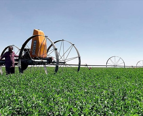 KIRSAL KALKINMA DESTEĞİ 2025 ŞARTLARI | Kırsal Kalkınma Yatırımlarının Desteklenmesi Programı (KKYDP) başvurusu nasıl ve ne zaman yapılır? Cumhurbaşkanı Erdoğan’dan açıklama: 18,5 milyar lira destek verilecek!