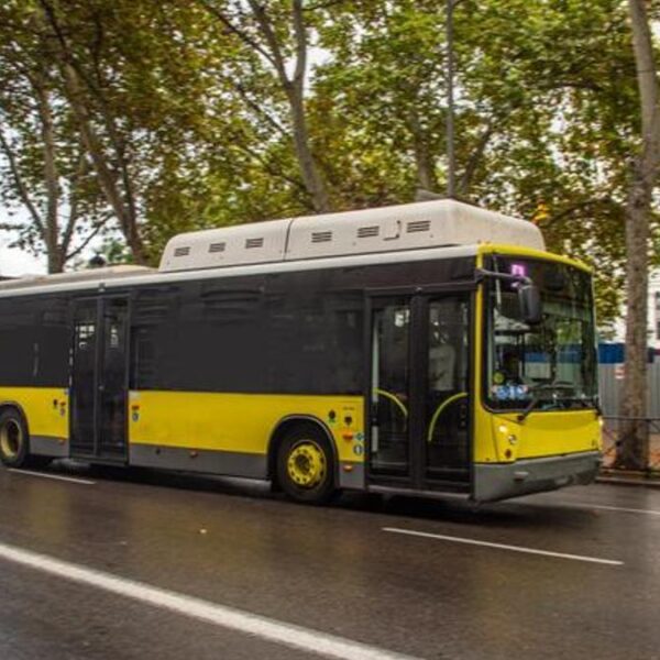 146T Durakları! İETT 146T Otobüs Durakları İsimleri, 146T Hat Güzergahı…