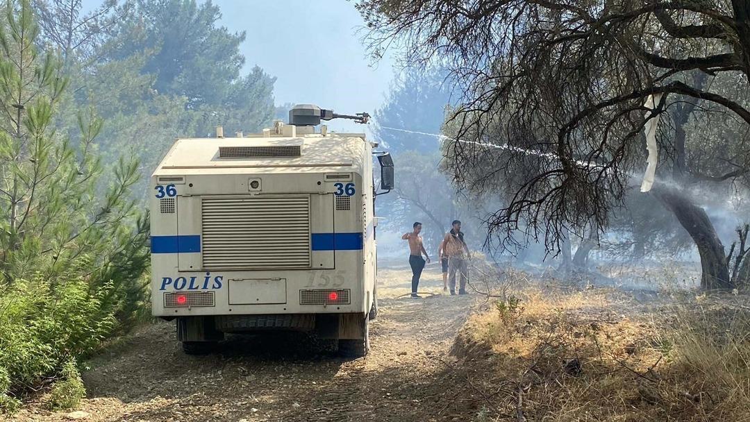 İzmir'deki orman yangında, kaplumbağalar alevler tarafından kurtarıldı! 2