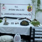 Sera kurup Hint keneviri yetiştirdiler! 2 kişiye gözaltı